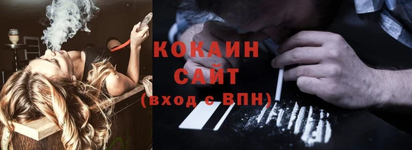 гидра Магас