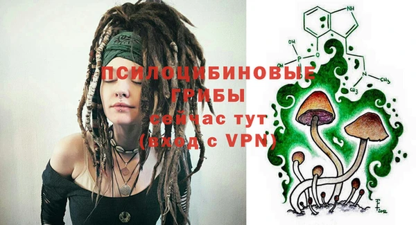 мет Бородино
