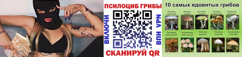 Галлюциногенные грибы Magic Shrooms Вичуга