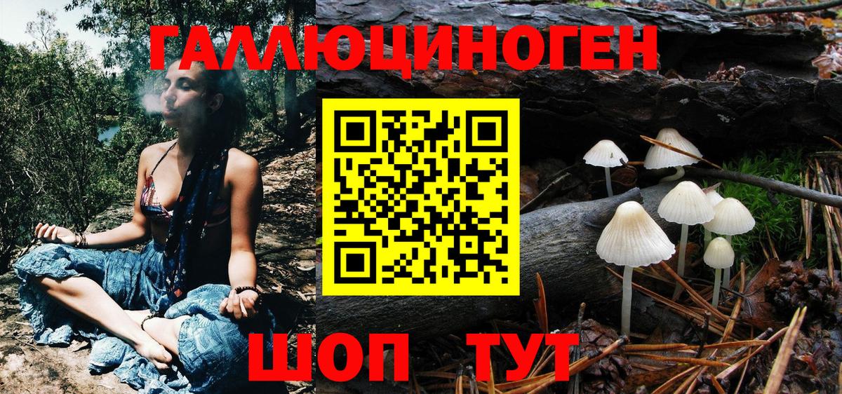 Псилоцибиновые грибы Psilocybe  Вичуга  Галлюциногенные грибы Psilocybe 
