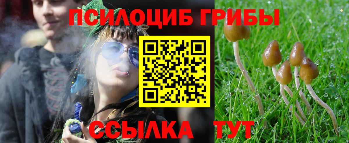 Псилоцибиновые грибы мухоморы  Вход с VPN  Вичуга 